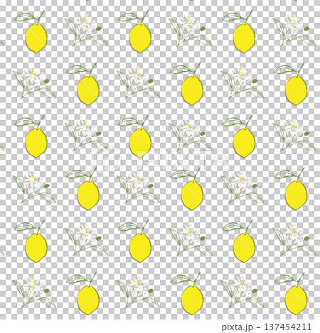 レモンの果実と花の手書きスケッチ風パターン 137454211