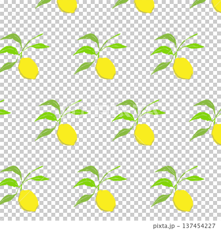 葉っぱ付きのレモンの枝のボタニカルパターン素材 137454227