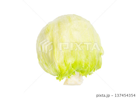 Sliced iceberg lettuce cabbage isolated on white background. top view 137454354