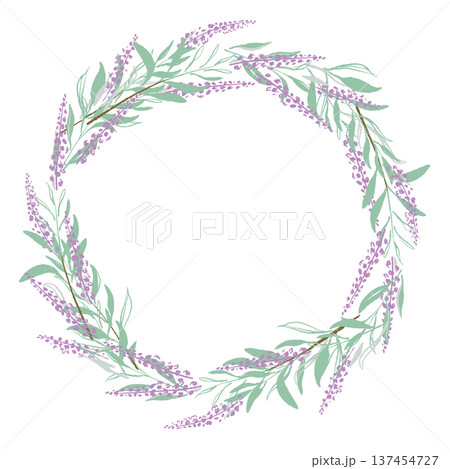 セージのリースフレームイラスト 137454727