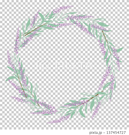 セージのリースフレームイラスト 137454727