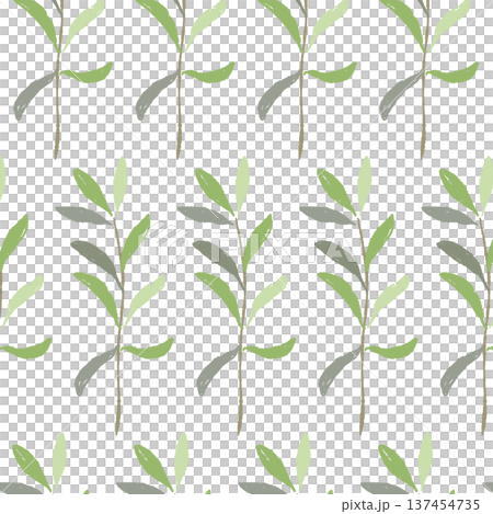縦に伸びるオリーブの枝のストライプ風パターン 137454735