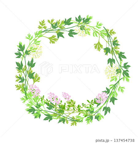 ミントやカモミールのフレッシュグリーンリース 137454738