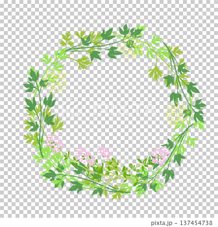 新鮮的薄荷和洋甘菊花環。 137454738