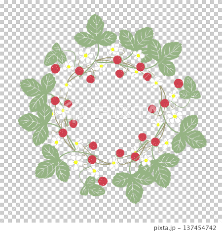 一個可愛的野生草莓花環 一個可愛的野生草莓花環 137454742