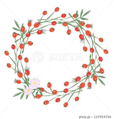 ローズヒップ(野ばらの実)の赤い実のリース ローズヒップ(野ばらの実)の赤い実のリース 137454748