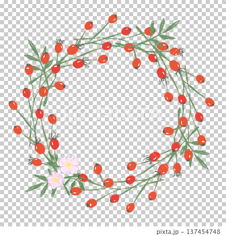 ローズヒップ(野ばらの実)の赤い実のリース ローズヒップ(野ばらの実)の赤い実のリース 137454748