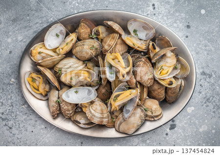 Steamed vongole clams arranged in plate on neutral background. Fresh seafood dish with copy space. 137454824