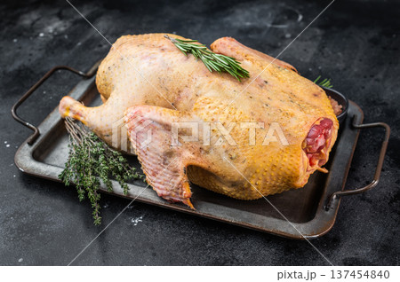 Uncooked whole goose poultry game meat prepared with herbs on tray. Overhead view on dark textured background rustic cuisine concept. Uncooked whole goose poultry game meat prepared with herbs on tray. Overhead view on dark textured background rustic cuisine concept. 137454840
