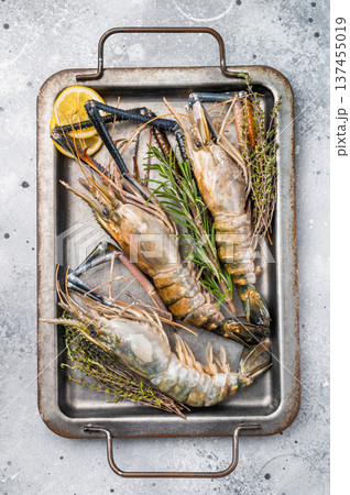 Freshly caught raw rosenbergii prawn displayed elegantly, highlighting their natural beauty and premium quality. grey background. top view Freshly caught raw rosenbergii prawn displayed elegantly, highlighting their natural beauty and premium quality. grey background. top view 137455019