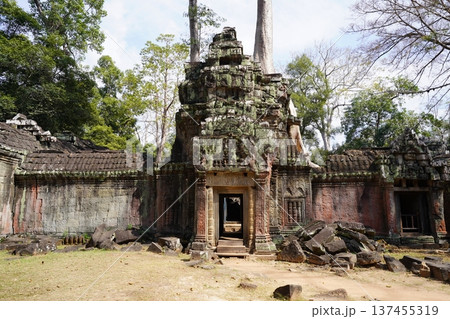 遺跡で有名なカンボジアアンコールワットの遺跡群 遺跡で有名なカンボジアアンコールワットの遺跡群 137455319