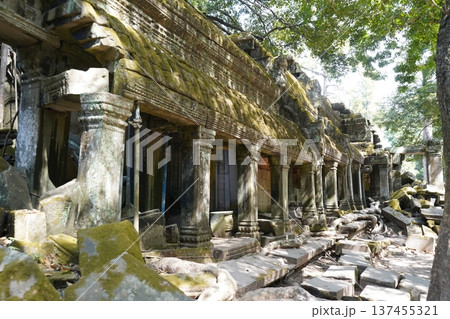 遺跡で有名なカンボジアアンコールワットの遺跡群 遺跡で有名なカンボジアアンコールワットの遺跡群 137455321