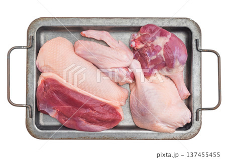 Uncooked raw duck meat assortment including breast wing and thigh isolated on bright surface perfect for culinary preparation photography. Uncooked raw duck meat assortment including breast wing and thigh isolated on bright surface perfect for culinary preparation photography. 137455455