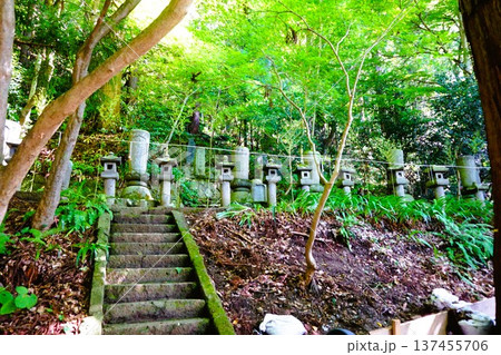 山寺　寶珠山阿所川院立石寺　立石寺 137455706