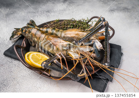 Plump raw giant river prawns shrimps, ideal for sushi, grilling, or adding a touch of luxury to any meal. white background. top view 137455854