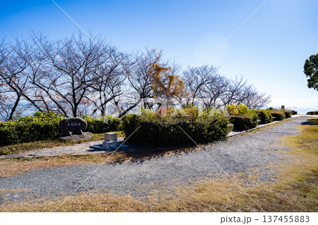 赤穂御崎公園の風景(赤穂市) 赤穂御崎公園の風景(赤穂市) 137455883