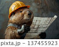 Beaver wearing as construction worker in protective orange helmet with serious expression holding blueprint in paws expression isolated on brown background, an engineer working on project 137455923