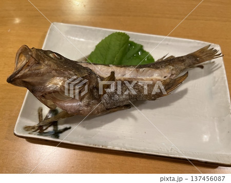 ガシラ(カサゴ)の塩焼き ガシラ(カサゴ)の塩焼き 137456087