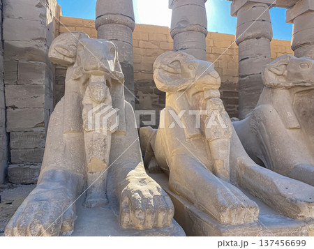 Karnak Temple is dedicated to the temple complex of Ancient Egypt. Thebes, Karnak, Luxor, Egypt Karnak Temple is dedicated to the temple complex of Ancient Egypt. Thebes, Karnak, Luxor, Egypt 137456699