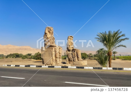 Colossi of Memnon, two massive stone statues representing the pharaoh, Luxor, Egypt 137456728