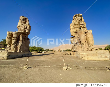 Colossi of Memnon, two massive stone statues representing the pharaoh, Luxor, Egypt Colossi of Memnon, two massive stone statues representing the pharaoh, Luxor, Egypt 137456730