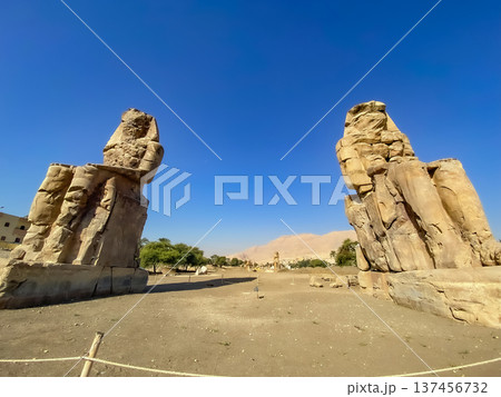 Colossi of Memnon, two massive stone statues representing the pharaoh, Luxor, Egypt Colossi of Memnon, two massive stone statues representing the pharaoh, Luxor, Egypt 137456732