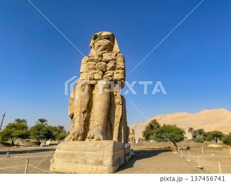 Colossi of Memnon, two massive stone statues representing the pharaoh, Luxor, Egypt Colossi of Memnon, two massive stone statues representing the pharaoh, Luxor, Egypt 137456741