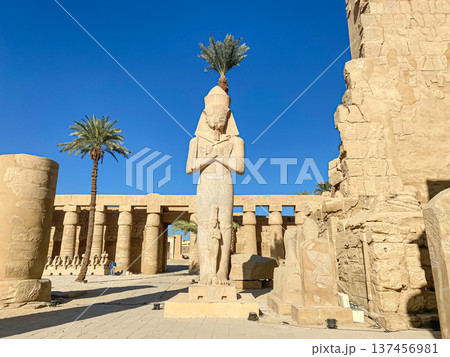 Karnak Temple is dedicated to the temple complex of Ancient Egypt. Thebes, Karnak, Luxor, Egypt Karnak Temple is dedicated to the temple complex of Ancient Egypt. Thebes, Karnak, Luxor, Egypt 137456981