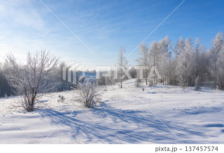 Frosty morning, beautiful trees in snow and frost Frosty morning, beautiful trees in snow and frost 137457574