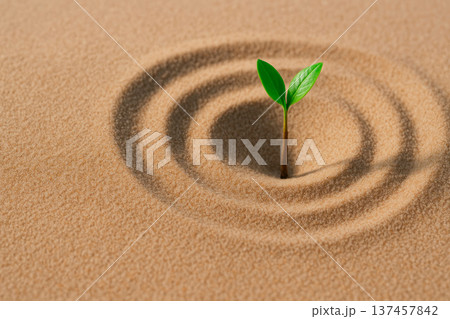 A sprout that broke through the sand. Space for text. A sprout that broke through the sand. Space for text. 137457842