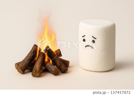 Thoughtful marshmallows by the fire. 137457872