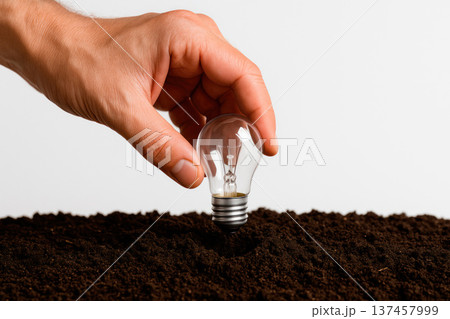 The hand plants a light bulb in the ground like a seed. Space for text. The hand plants a light bulb in the ground like a seed. Space for text. 137457999