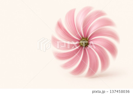 Rotating pink propeller with motion blur. Space for text. Rotating pink propeller with motion blur. Space for text. 137458036