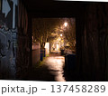 街灯に照らされる路地裏 137458289