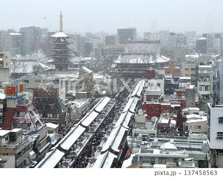 雪の浅草寺 137458563