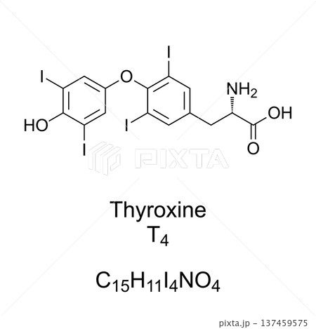 Thyroxine, T4, chemical formula and molecular structure. Hormone produced by the thyroid gland. Essential for metabolic rate, heart and muscle function, brain development, and bone health. Vector 137459575