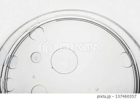 Clear petri dish containing water and oil drops on white background 137460357