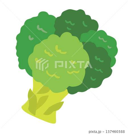 ブロッコリーのシンプルな野菜イラスト 137460388