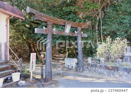 高知県土佐清水市 龍宮神社鳥居 高知県土佐清水市 龍宮神社鳥居 137460447