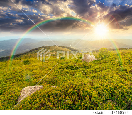sunset over summer landscape of alps. hillside meadows in mountain scenery. countryside highland view from the top of a hill. nature background with green slope. weather with rainbow sunset over summer landscape of alps. hillside meadows in mountain scenery. countryside highland view from the top of a hill. nature background with green slope. weather with rainbow 137460555