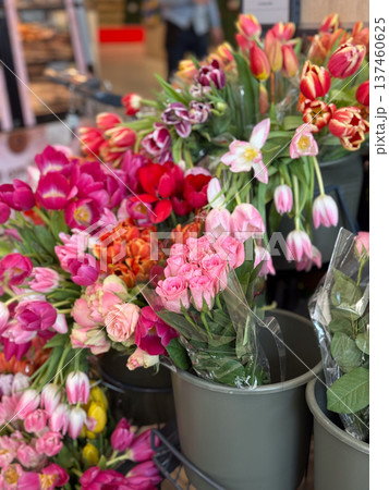 Fresh tulip bouquets displayed in buckets at a flower shop market stand. Spring celebration, floristry business, seasonal flowers, romantic gift tradition and colorful botanical abundance. Fresh tulip bouquets displayed in buckets at a flower shop market stand. Spring celebration, floristry business, seasonal flowers, romantic gift tradition and colorful botanical abundance. 137460625