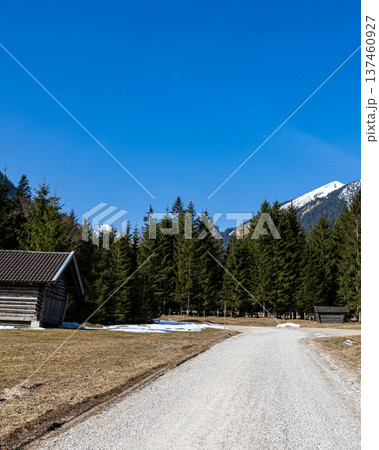 Mountain Road Leading to Alpine Forest and Hut in the Bavarian Alps near Garmisch-Partenkirchen, Germany 137460927