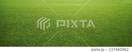 Soccer field Soccer field 137460962