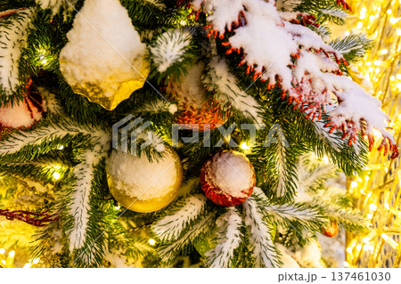 snow-covered banch of christmas tree with balls snow-covered banch of christmas tree with balls 137461030