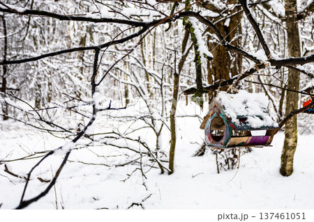 handmade wooden bird feeder in snowy city park 137461051