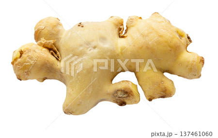 natural fresh ginger root isolated on white natural fresh ginger root isolated on white 137461060