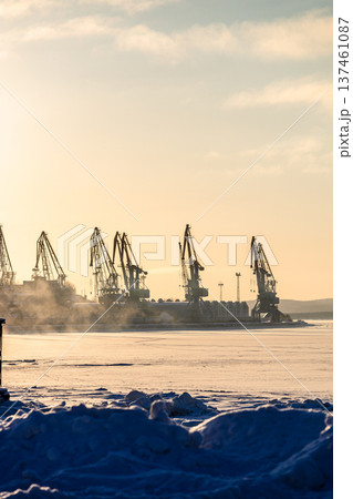 frozen coast and cranes in port of Kandalaksha 137461087