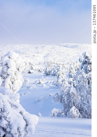 snowy mount slope near Kandalaksha town in winter 137461095