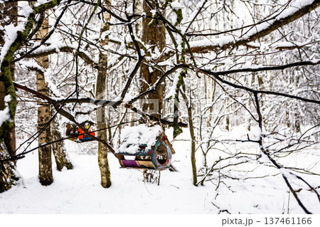 handmade colorful wooden bird feeder in snowy park 137461166