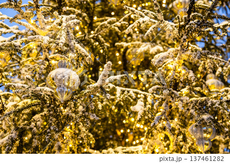 illuminated outdoor snow-covered christmas tree 137461282
